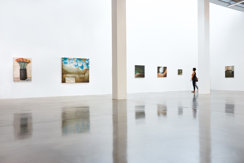 Pots, lapin, fenêtres, fleurs - Installation view