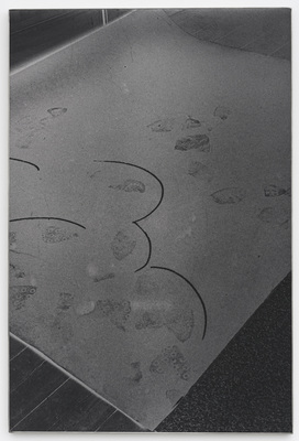 Dear deer , - Dirk Braeckman - Dear deer , I remember