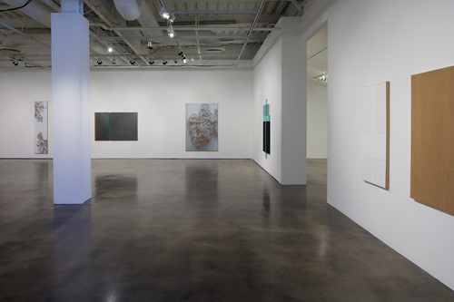 N. Dash - Installation view