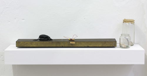 25 years Zeno X Gallery - Fragment from Self-Portrait as a Building