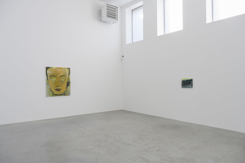 Double Takes - Installation view