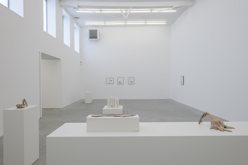 Silent Dance - Grace Schwindt - Installation view