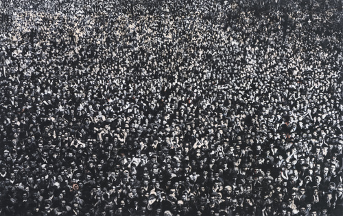 Ship of Fools - Camouflage (Wrong Majority) (1)