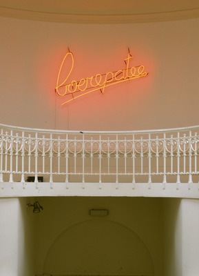 Patrick Van Caeckenbergh - Boerepatee (Pâté de campagne)