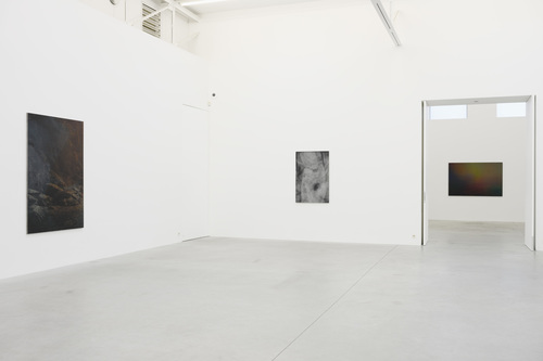 Dear deer , - Dirk Braeckman - Installation view