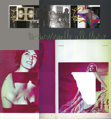 Placenta Saturnine Bercail - To Dismantle All This?