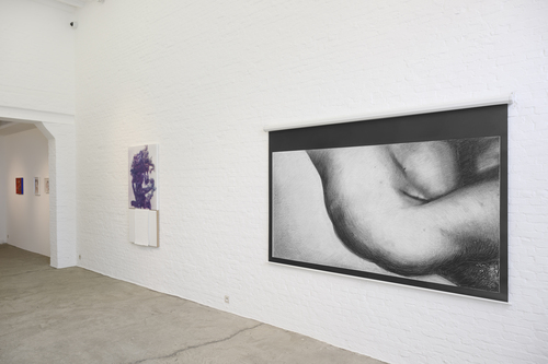 40 Years Zeno X Gallery - the two-thousands - Installation view