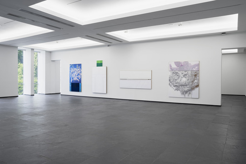 earth - Installation view
