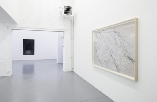 Dirk Braeckman, Susan Hartnett, Jockum Nordström, Jack Whitten - Installation view