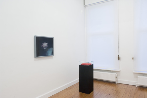 25 years Zeno X Gallery - 25 years Zeno X Gallery - installation view