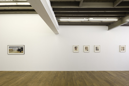 Domesticated - Jan De Maesschalck - 