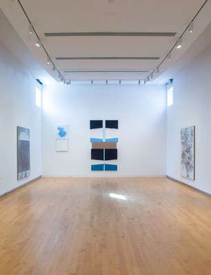 N. Dash - Installation view