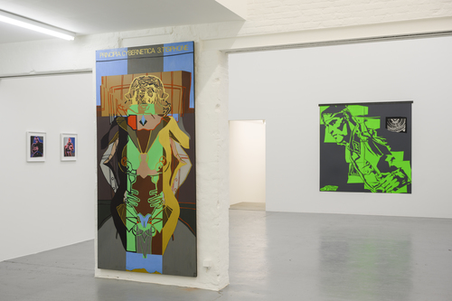 Placenta Saturnine Bercail - Installation view