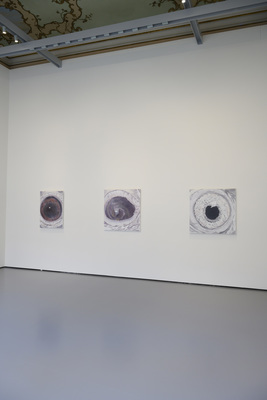 La Pelle - Installation view