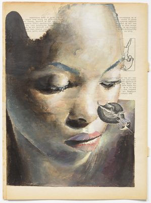 Domesticated - Jan De Maesschalck - Domesticated #3