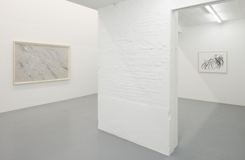 Dirk Braeckman, Susan Hartnett, Jockum Nordström, Jack Whitten - Installation view