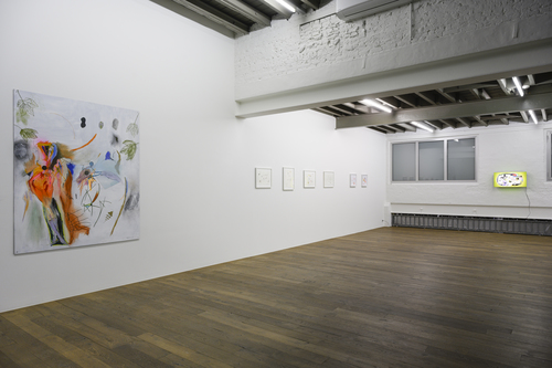 Placenta Saturnine Bercail - Installation view