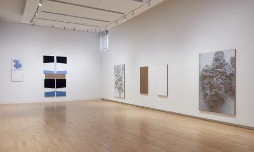 N. Dash - Installation view