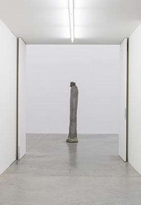 Off Road - Installation view