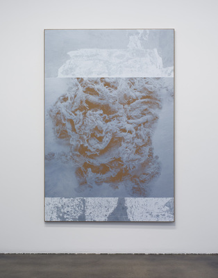 N. Dash - Installation view