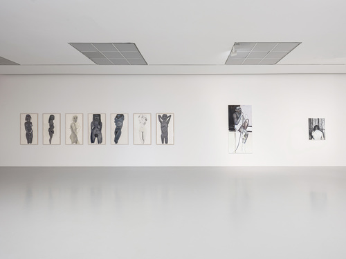 Museum in beweging - Installation view Marlene Dumas