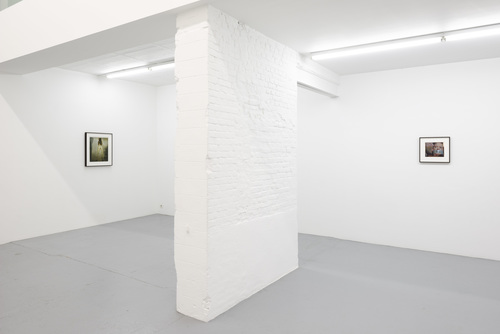 Domesticated - Jan De Maesschalck - 