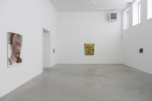 Double Takes - Installation view