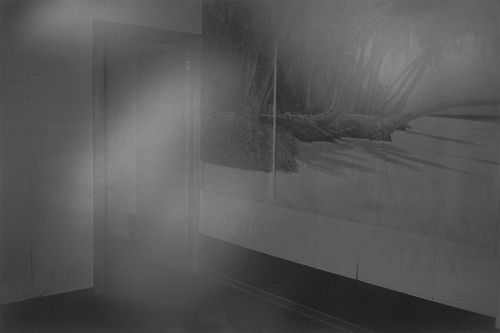 z.Z(t).II - Dirk Braeckman - R.P.-B.X.-00