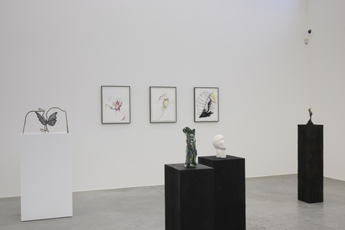 Lacuna - Grace Schwindt - Installation view