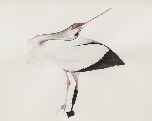 Silent Dance - Grace Schwindt - Stork
