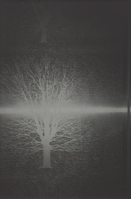 twentyseven.one.seven - Dirk Braeckman - 27.1 / 21.7 / 022 / 2014