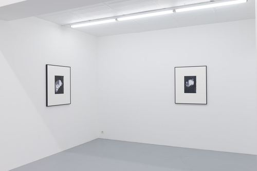 Twice - Installation view