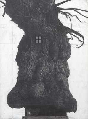 Het Muziekbos - Drawing of Old Trees on Wintry Days during 2007-2014