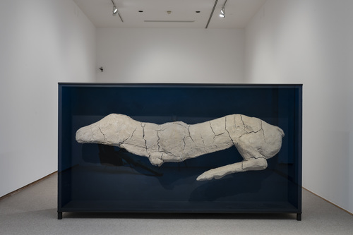 Mark Manders - Unfired Clay Animal