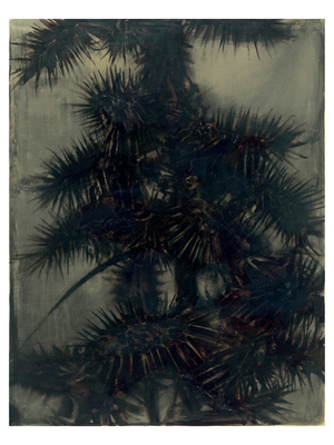 ZENO X GALLERY - The Distance - Jan De Maesschalck