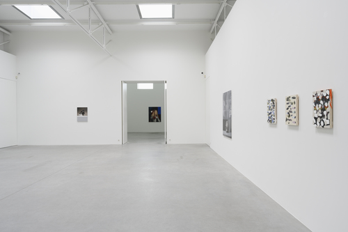 Bleeding Heart - Mircea Suciu - Installation view