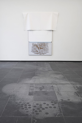 earth - Installation view