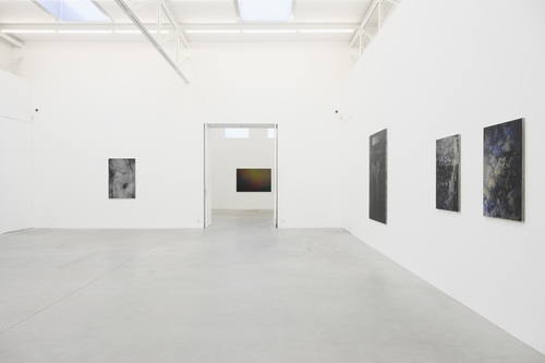 Dear deer , - Dirk Braeckman - Installation view