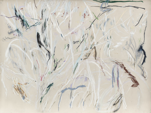 Susan Hartnett - Jan 10 2001, Heavy snow stuck for days