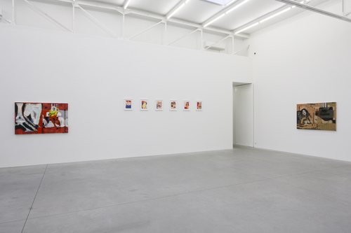Placenta Saturnine Bercail - Installation view