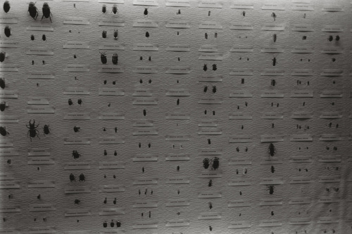 Dirk Braeckman - K.S.-G.E.-97