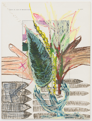 Le jour se lève - Pélagie Gbaguidi - Chaine Humaine