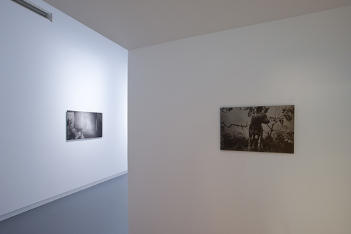 Dirk Braeckman - Installation view
