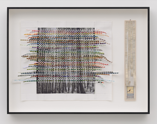 Patrick Van Caeckenbergh - Het Muziekbos (Het Weeftapijt) (The Musical Forest [The Woven Carpet])