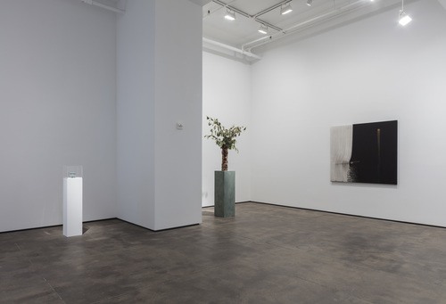 Abstract by Nature - Installation view