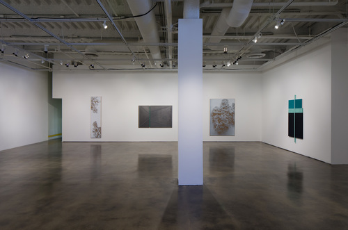 N. Dash - Installation view