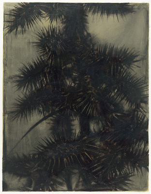 The Distance - Untitled (Cocklebur)