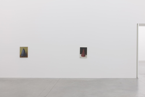 Coloured Cones - Michaël Borremans - Installation view