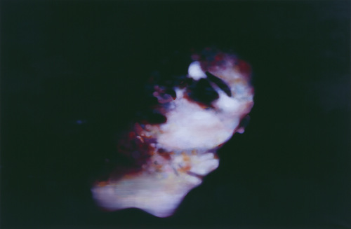 Night in Sexyland - Johannes Kahrs - Hula girl