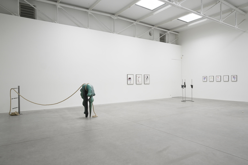 Lacuna - Grace Schwindt - 